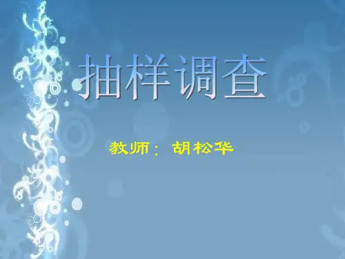 抽样调查培训课程.pptx