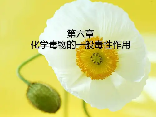 毒理学终稿第六章化学物的一般毒性