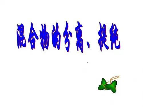 高一化学混合物的分离与提纯