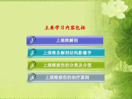 上颈椎损伤