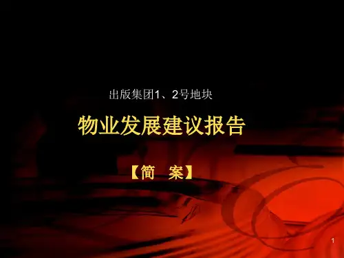 某集团物业发展建议报告