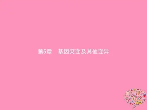 2018年秋高中生物第5章基因突变及其他变异5.1基因突变和基因重组课件新人教版必修2