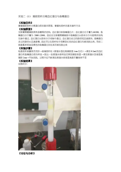 生物化学实验 层析法实验