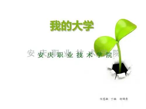 我的大学541