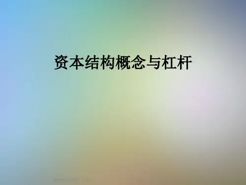 资本结构概念与杠杆