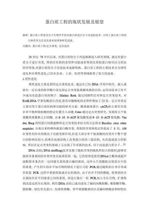 蛋白质工程