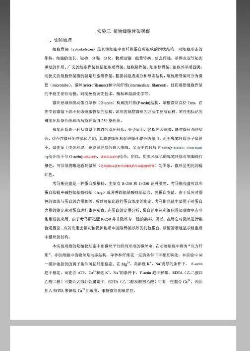 细胞实验三 植物细胞骨架观察(参考)