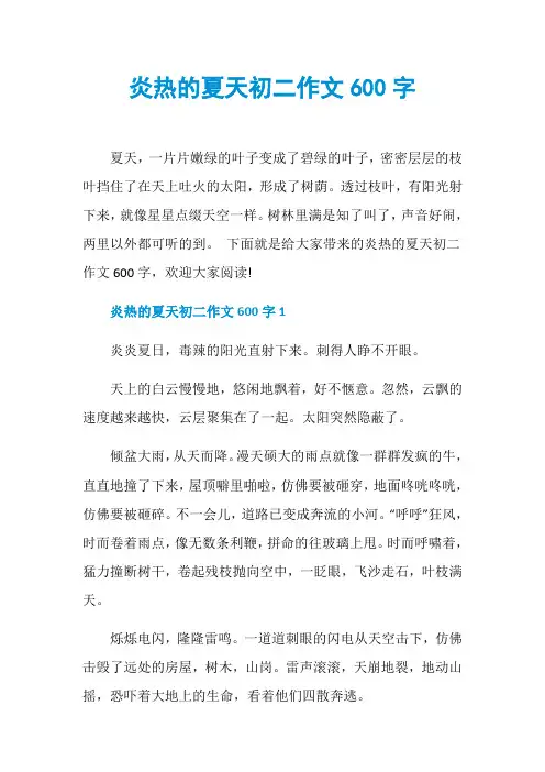 炎热的夏天初二作文600字