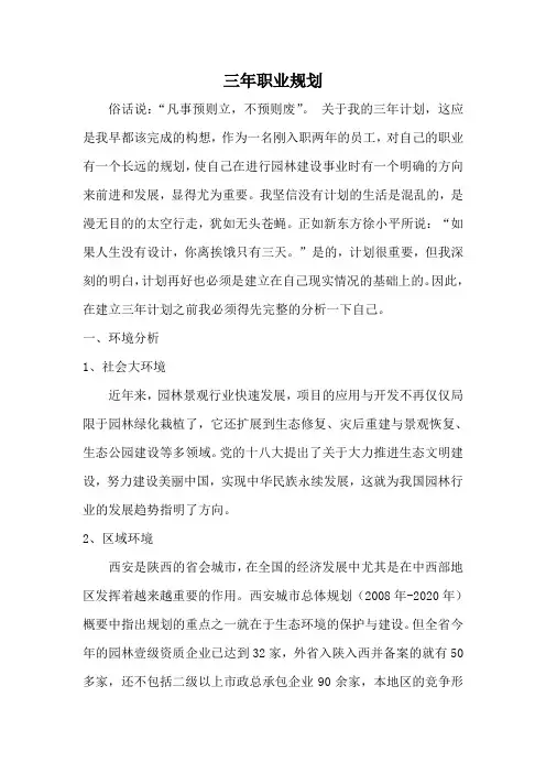 三年职业规划