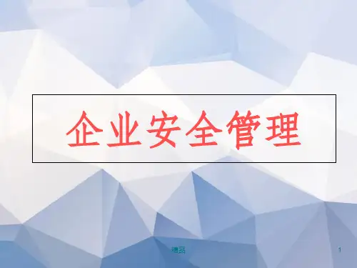 企业安全管理-PPT
