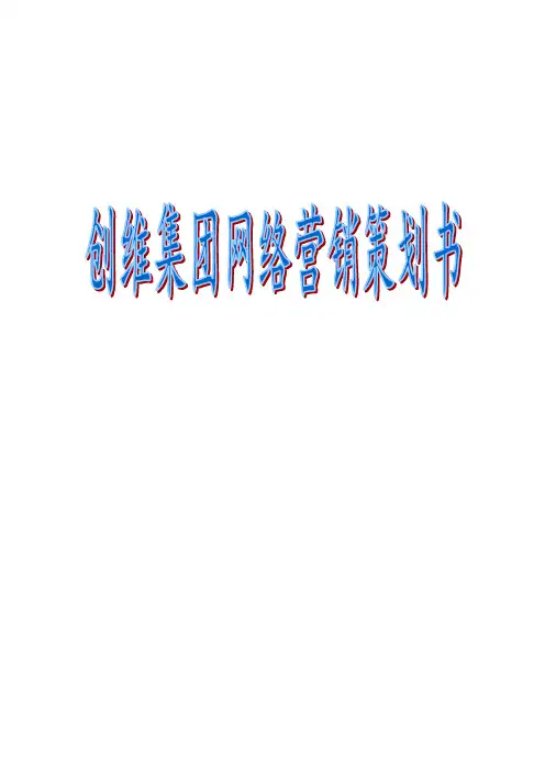 创维集团网络营销策划书