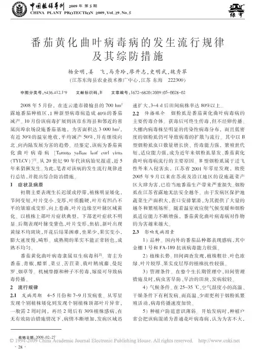 番茄黄化曲叶病毒病的发生流行规律及其综防措施
