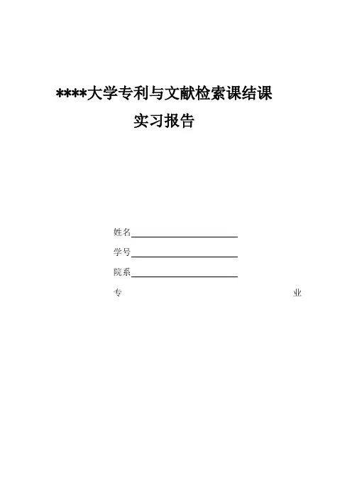 专利文献检索报告