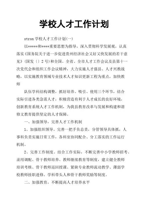 学校人才工作计划