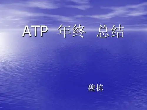 2012赛季ATP网球总结