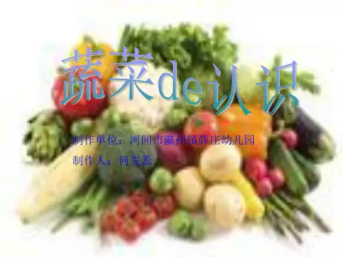 蔬菜的认识