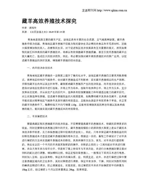 藏羊高效养殖技术探究
