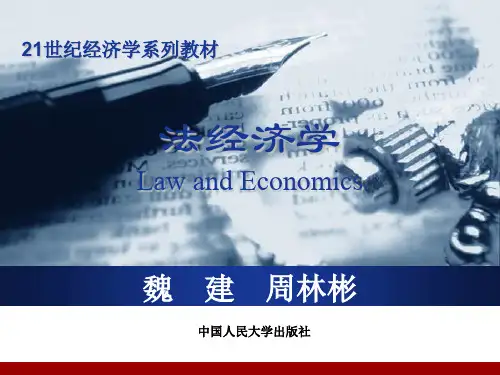 知识产权法的经济分析