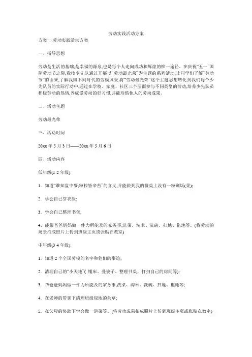 劳动实践活动方案