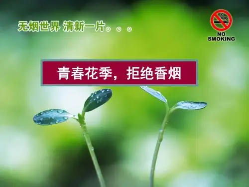 青春花季,拒绝香烟