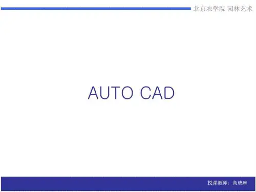 CADPPT讲义2019025
