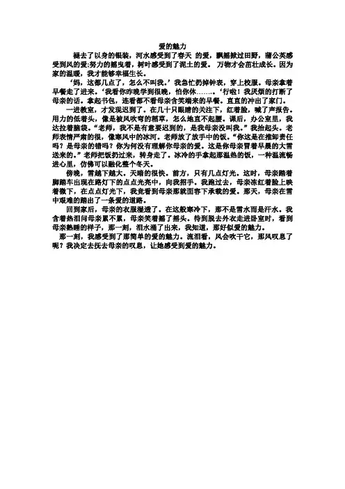 爱的魅力1