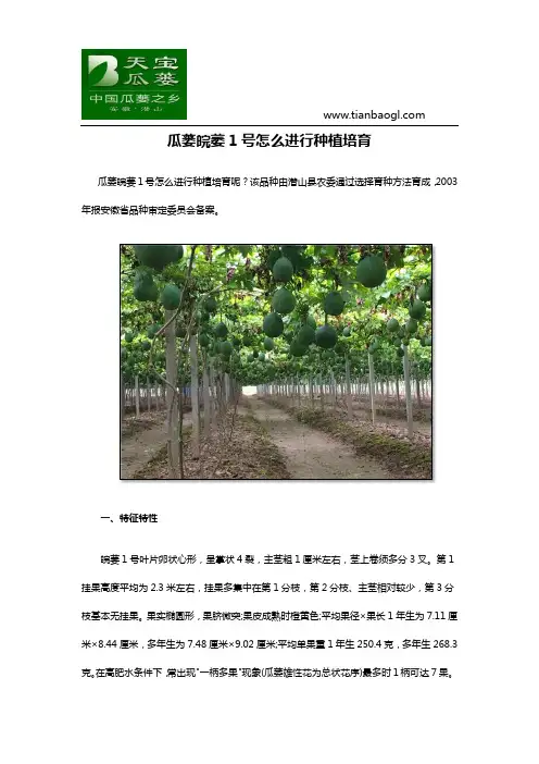 瓜蒌皖萎1号怎么进行种植培育