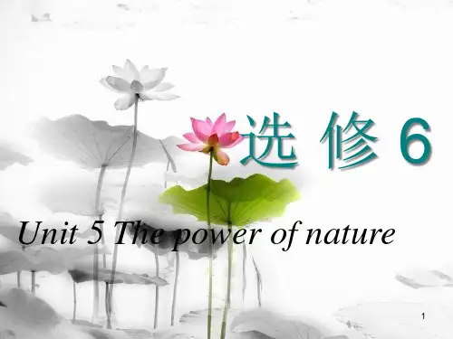 高考英语一轮复习 Unit 5 The power of nature课件 新人教版选修6.pptx