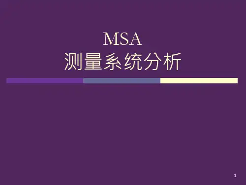 MSA完全版终极教程