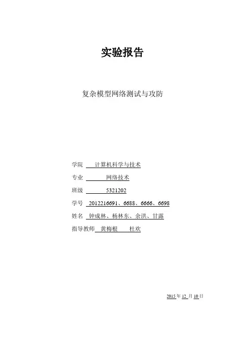 复杂模型实验报告