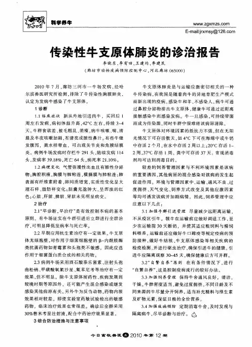 传染性牛支原体肺炎的诊治报告