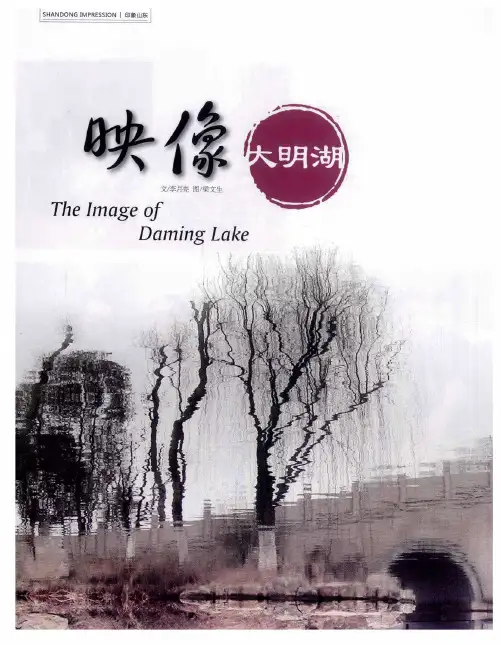 映像大明湖