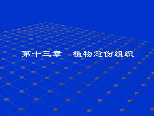 第十章 植物愈伤组织