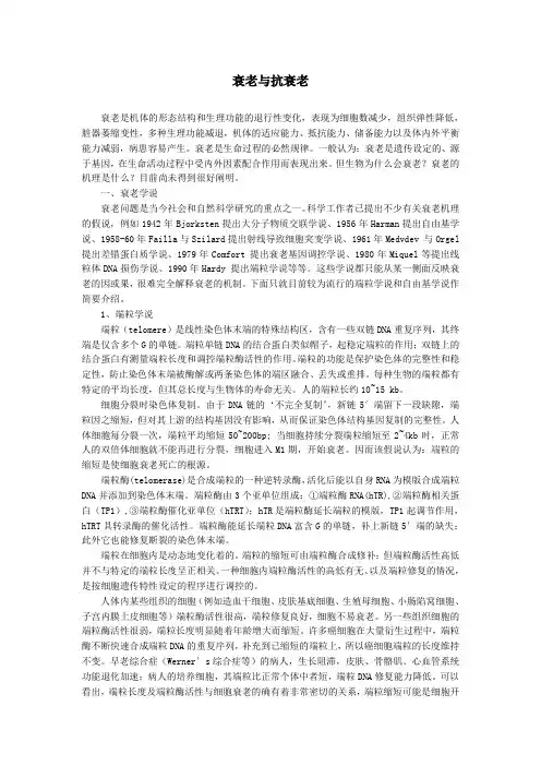 衰老与抗衰老