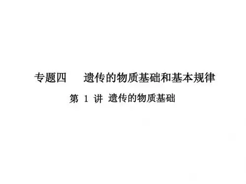 12-13年高三 二轮复习资料 遗传物质的基础