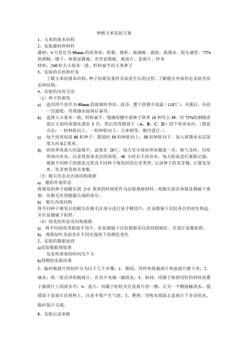 种植玉米实验方案