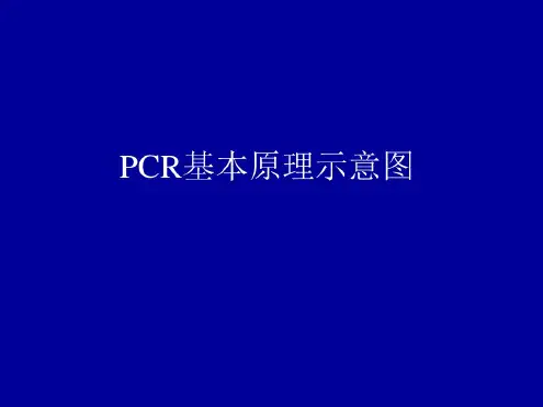 PCR基本原理示意图资料