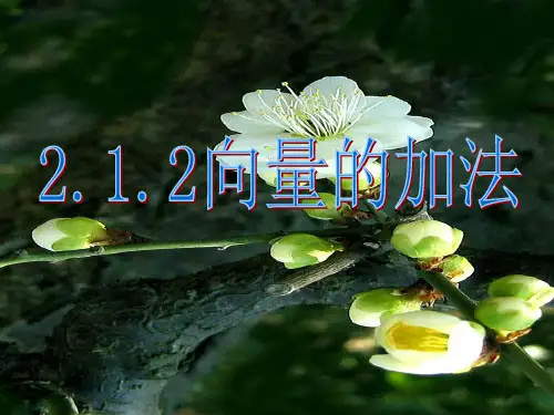 平面向量的加法