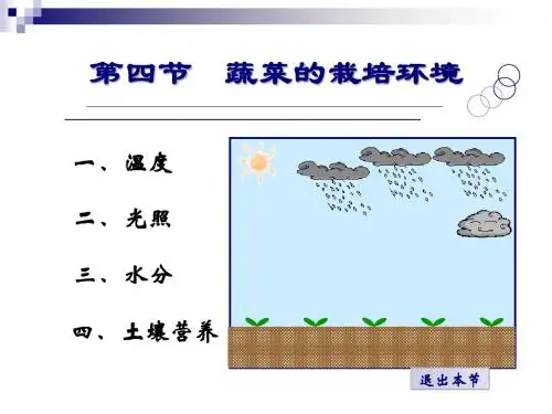 04第四节 蔬菜的栽培环境
