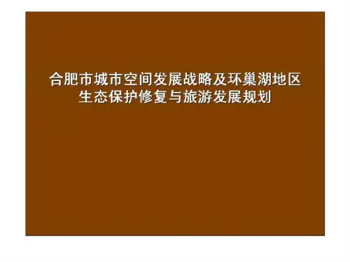 中国城市规划设计研究院联合体方案