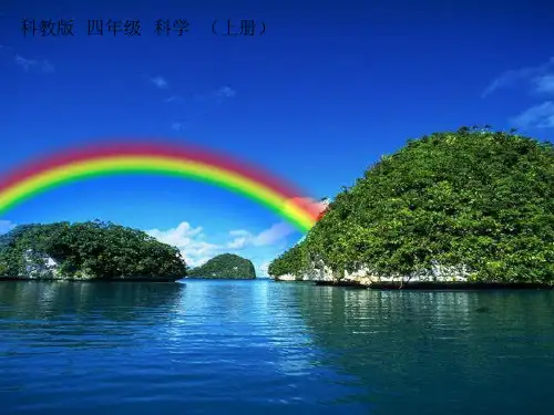 人教版四年级科学