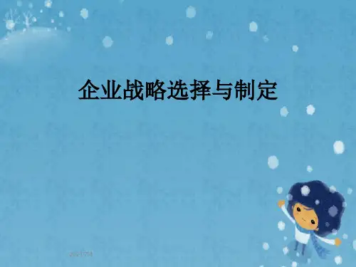 企业战略选择与制定