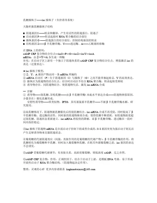 分子生物学-复习提纲-13.负控诱导—乳糖操纵子1