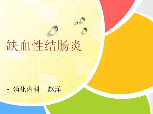 缺血性结肠炎PPT优秀课件