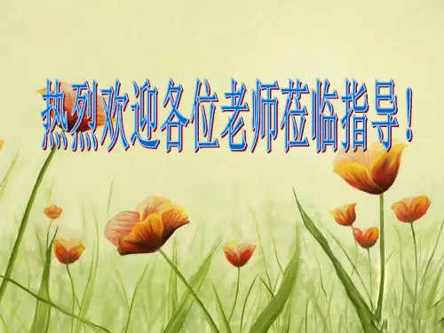 人体的三道防线ppt
