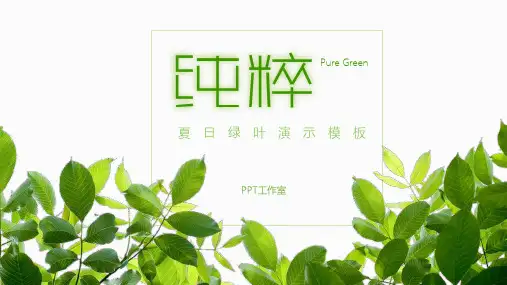 2018夏日清爽绿色风格PPT模板