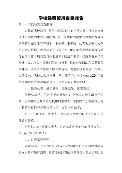 学校经费使用自查报告