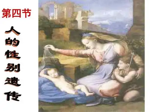 八年级生物人的性别遗传3