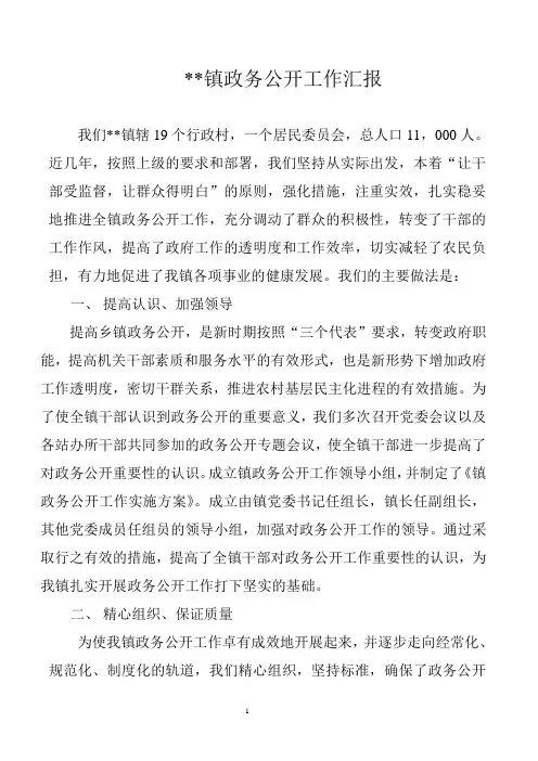镇政务公开工作汇报