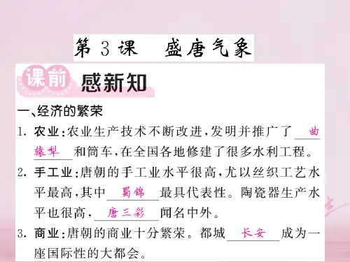 2017_2018学年七年级历史下册第一单元第3课盛唐气象课件新人教版